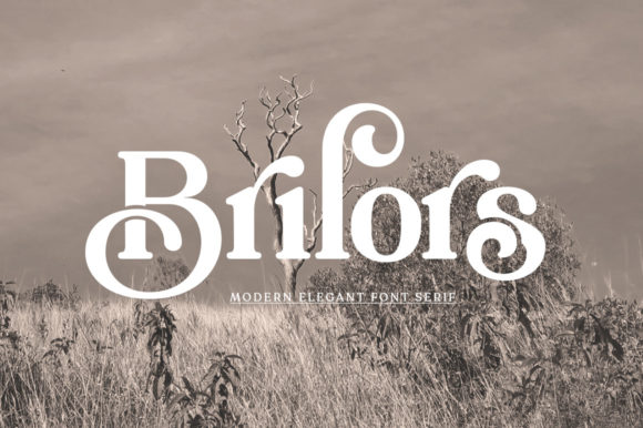 Brilors Review: A Serif with Real Branding Potential