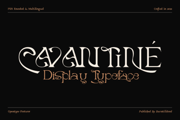 Cavantine Font Review: Elevating Campaign Visuals with Elegant Serif Style