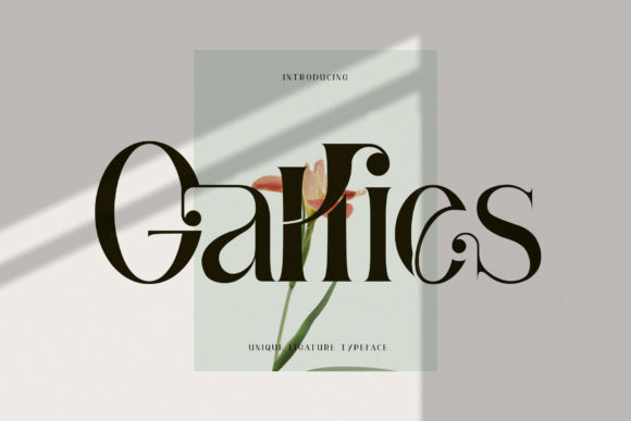 Gallies Serif Font: Elevating Web Design with Elegant Typography