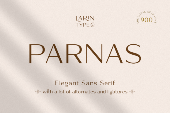 Parnas Sans: The Typeface That Clarifies Your Campaign Message