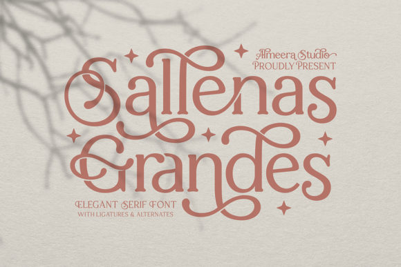Sallenas Grandes: A Premium Serif Font for Web Design
