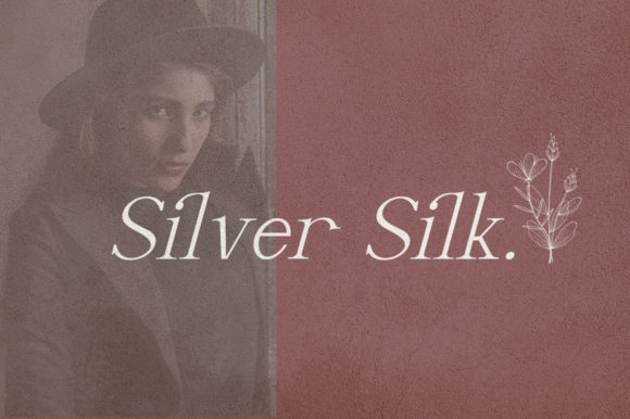 Why Silver Silk is the Perfect Serif Font for Modern Web Design
