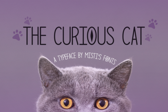 Why The Curious Cat Font Wins in Fast-Paced Campaigns
